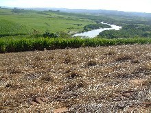 Zini River Estate