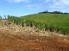 Zini River Estate