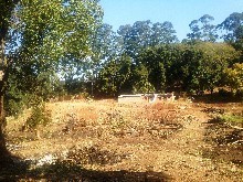 Residential Land On Auction - Hillcrest