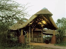 Zululand Tree Lodge