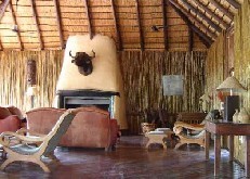 Zululand Tree Lodge