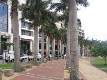 West Palm Offices