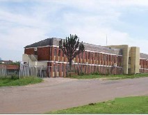 Investment Property