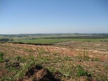 Zini River Estate