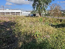 to let Industrial Hammarsdale