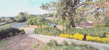 Office for sale in Westville
