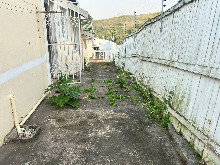 Valleyview