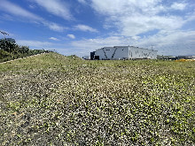 Vacant Land