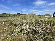 Vacant Land
