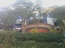 Prime A-Grade Commercial Offices in La Lucia Umhlanga Ridge