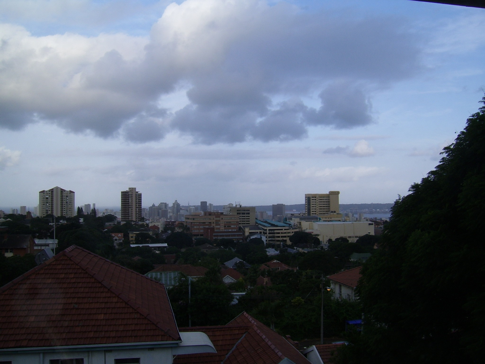 Pet Friendly Flats To Rent Musgrave Durban at Faith Dickerson blog