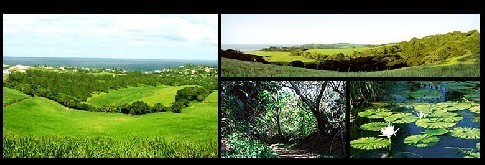 Brettenwood