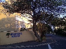 Durban Umhlanga apartment to let