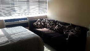 Spacious bachelor's apartment for rent in sec