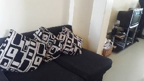 Spacious bachelor's apartment for rent in sec